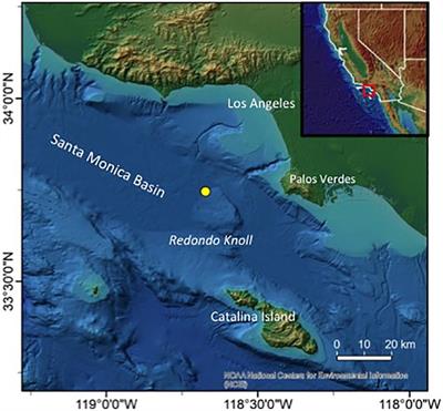 Discovery and Mapping of the Triton Seep Site, Redondo Knoll: Fluid Flow and Microbial Colonization Within an Oxygen Minimum Zone